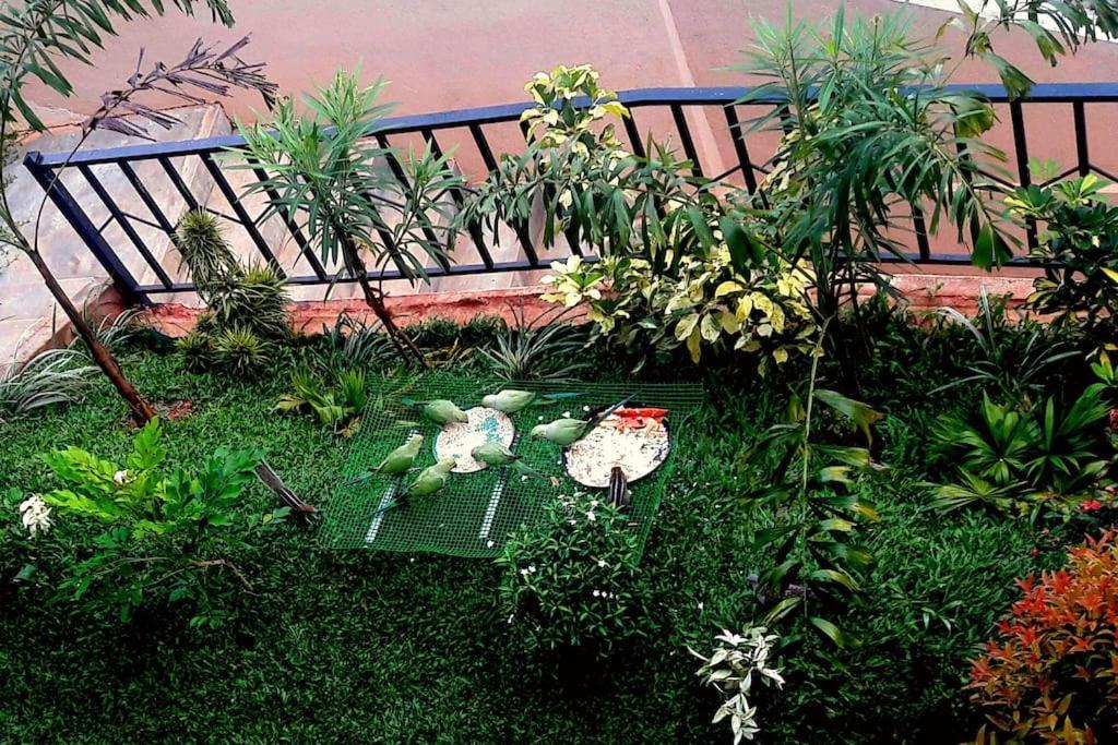Saru Holiday Apartment - Upto 6 Guests Kandy Exteriér fotografie